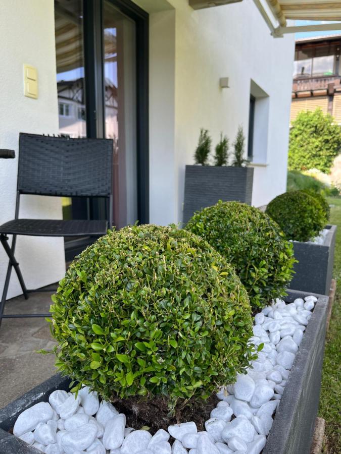 Appartement Schneekristall Westendorf Eksteriør billede